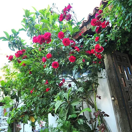 호텔 키르킨자 3*