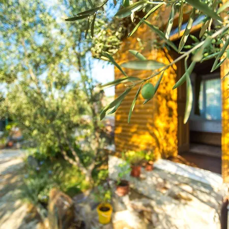 키르킨자 호텔 셀주크