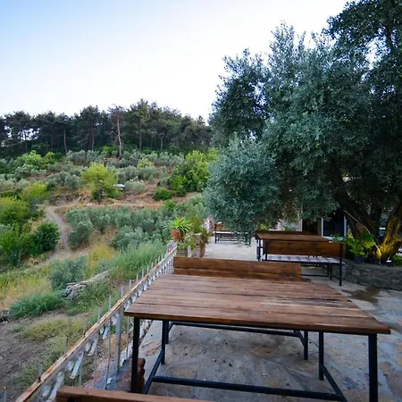 ホテル キルキンチャ 3*